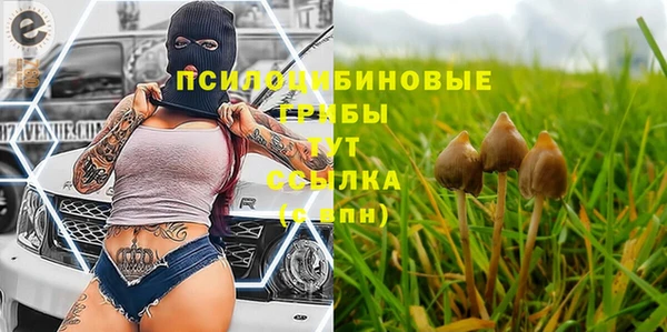 метадон Осташков