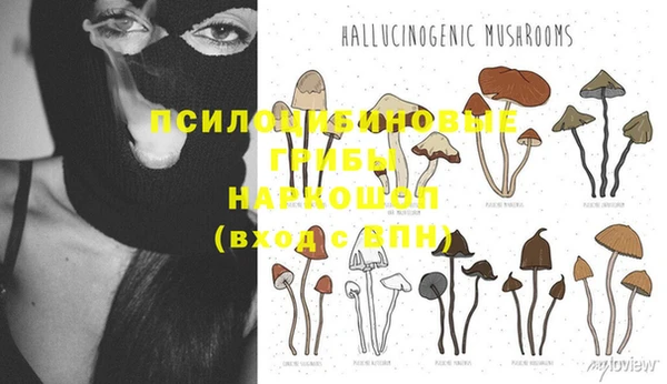 метадон Осташков