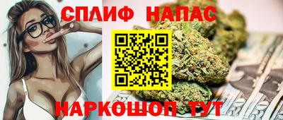 гашик Заводоуковск