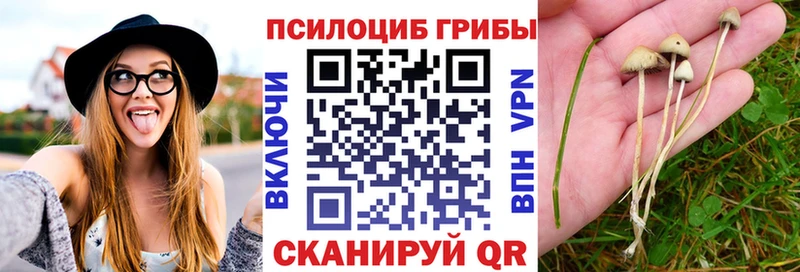 МЕГА зеркало  Карталы  Псилоцибиновые грибы GOLDEN TEACHER  что такое наркотик 