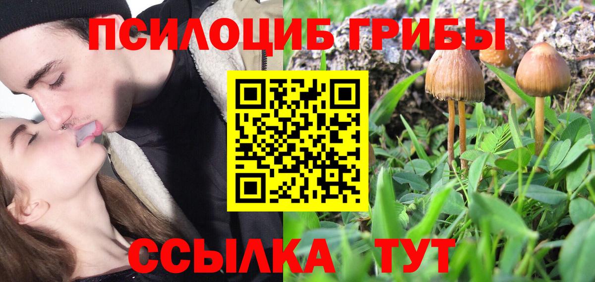 Псилоцибиновые грибы мицелий Карталы